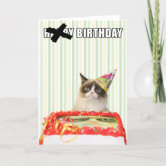 grumpy cat happy birthday song