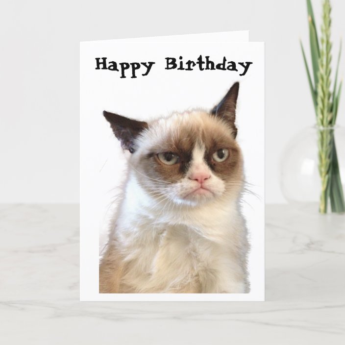 Grumpy Cat Happy Birthday Card Zazzle Com