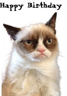 grumpy cat cards zazzle