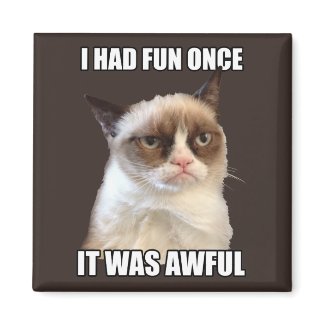 Grumpy Cat - I had fun once 2 Inch Square Magnet