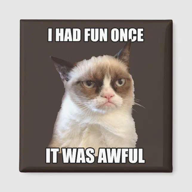 grumpy cat meme dashing through the no