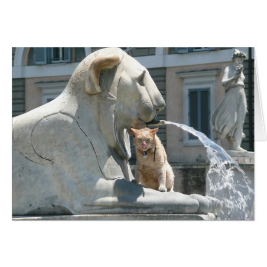Grumpy Cat in Rome, Fountain in Piazza Cards (Front Horizontal)