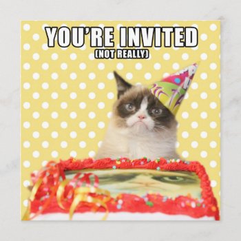 Grumpy Cat Invitations - You're Invited by thegrumpycat at Zazzle