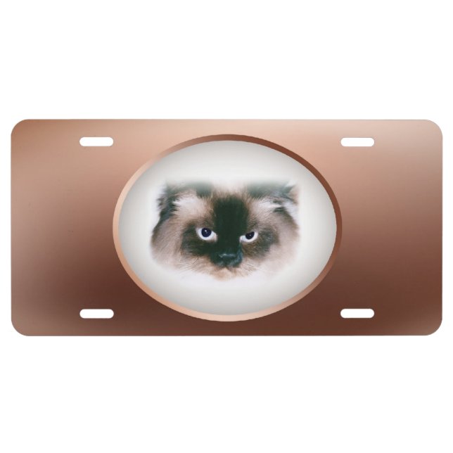 Grumpy Cat License Plate (Front)