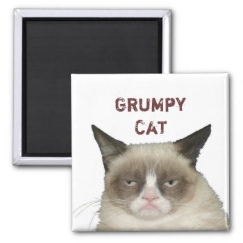 Grumpy Cat Magnet With Text by thegrumpycat at Zazzle