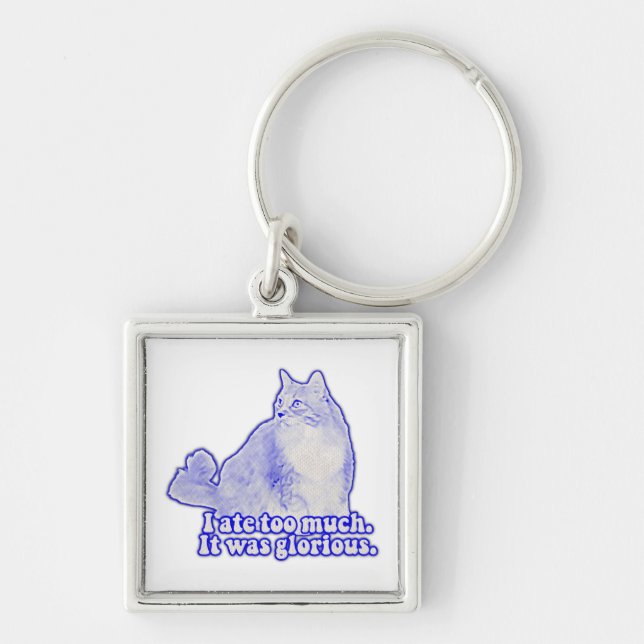 Grumpy cat meme for cat owners and kitten lovers keychain (Front)