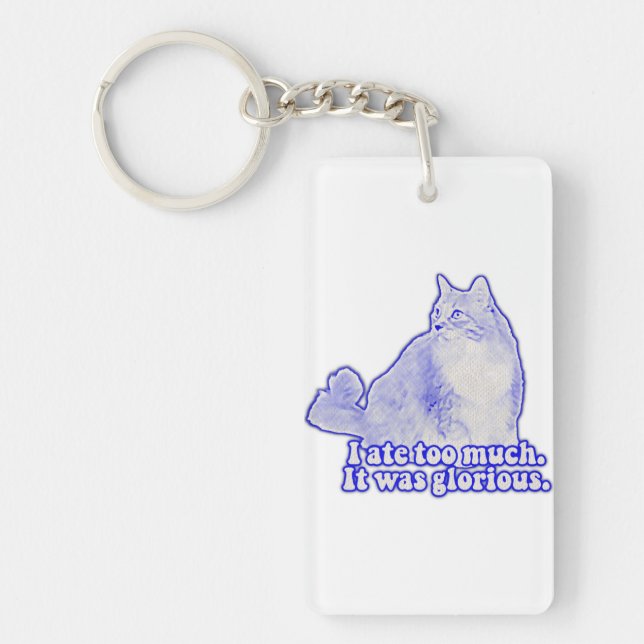 Grumpy cat meme for cat owners and kitten lovers keychain (Front)