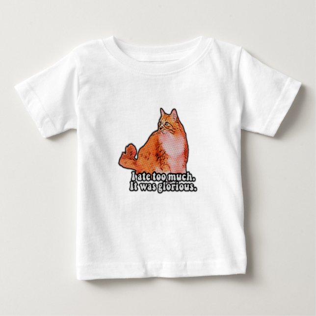 Grumpy cat meme for cat persons and kitten lovers baby T-Shirt (Front)