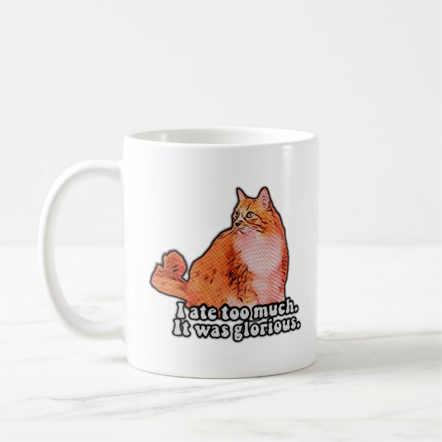Grumpy cat meme for cat persons and kitten lovers coffee mug (Left)