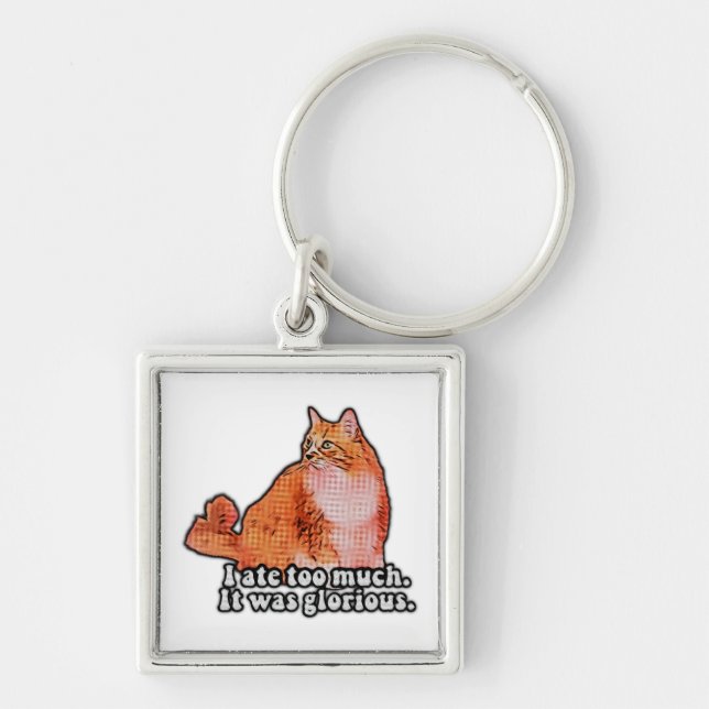 Grumpy cat meme for cat persons and kitten lovers keychain (Front)