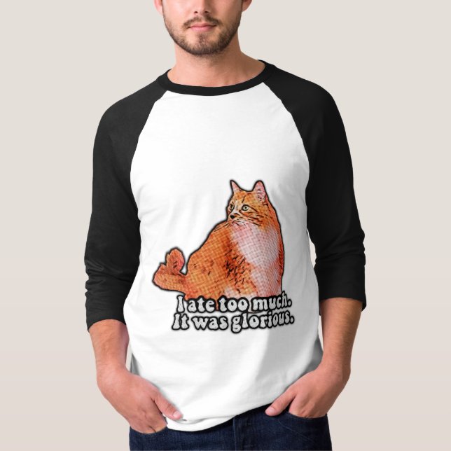 Grumpy cat meme for cat persons and kitten lovers T-Shirt (Front)