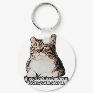 Grumpy cat meme for cat persons and kitten owners keychain