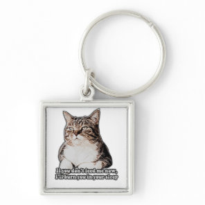 Grumpy cat meme for cat persons and kitten owners keychain