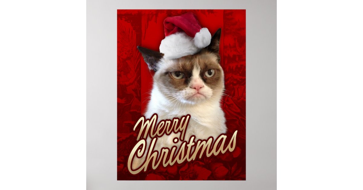 christmas grumpy cat