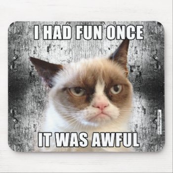 Grumpy Cat™ Mousepad - I Had Fun Once. by thegrumpycat at Zazzle