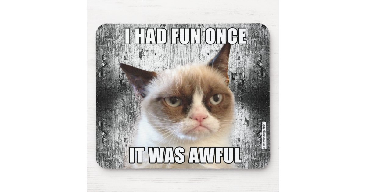 grumpy cat meme i had fun once