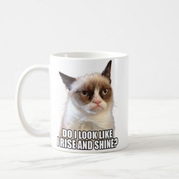 Grumpy Cat Mug by thegrumpycat at Zazzle