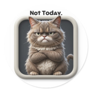 Grumpy Cat "Not Today" Craft Sticker – Funny Mood