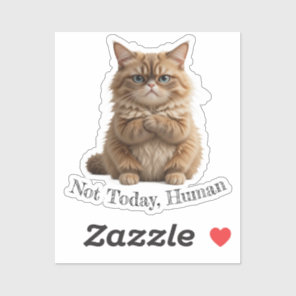 Grumpy Cat "Not Today, Human" Funny Pet Meme Sticker