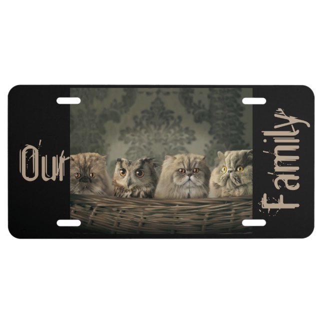 Grumpy Cat & Owl Our Family Aluminum License Plate (Front)