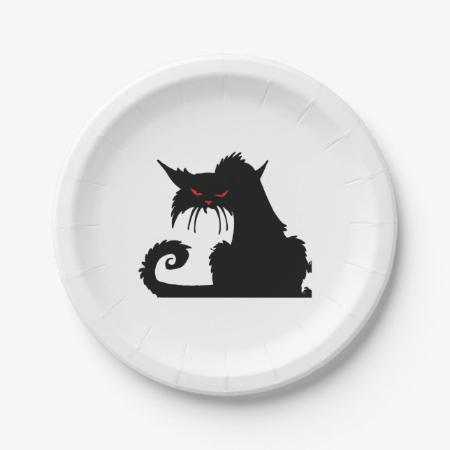Grumpy cat    paper plates (Front)