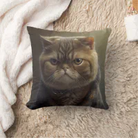 Grumpy discount cat blanket