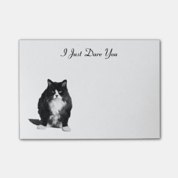 Grumpy Cat Post-it-notes Post-it Notes by Cats_Eyes at Zazzle