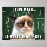 Grumpy Cat Poster- I Love Math It Makes People Cry Poster at Zazzle