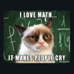 Grumpy Cat Poster- I love math it makes people cry Poster<br><div class="desc">This was made by request for all the math teachers out there! Features the original Grumpy Cat photo over a chalk board with the caption "I love math...  It makes people cry."</div>
