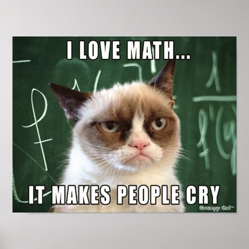 Grumpy Cat Poster I Love Math It Makes People Cry Poster Zazzle