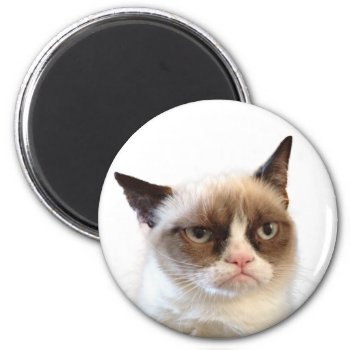 Grumpy Cat Round Magnet by thegrumpycat at Zazzle