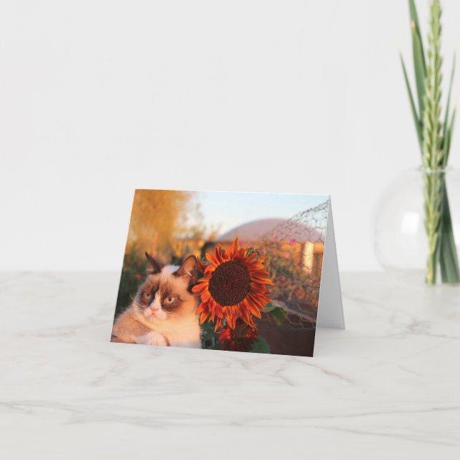Grumpy Cat Sunflower Note Cards (Front)