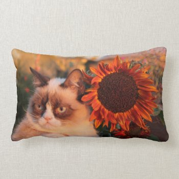 Grumpy Cat Sunflower Pillow by thegrumpycat at Zazzle
