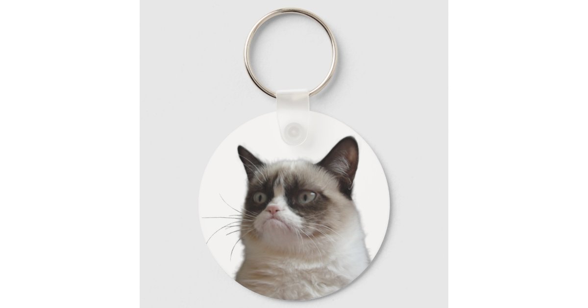 Browse thousands of Grumpy Cat images for design inspiration