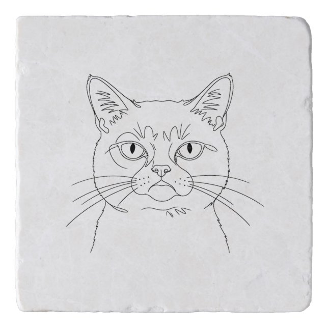 Grumpy cat trivet (Front)
