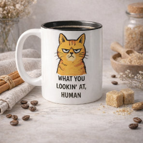 Grumpy Cat –“What You Lookin’ At, Human” Funny Two-Tone Coffee Mug
