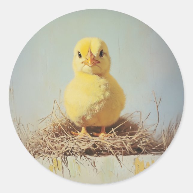 Grumpy Chick in Nest Classic Round Sticker (Front)