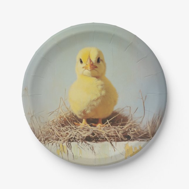 Grumpy Chick in Nest Paper Plates (Front)