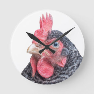 Grumpy Chicken Funny Frowning Hen Photo Round Clock