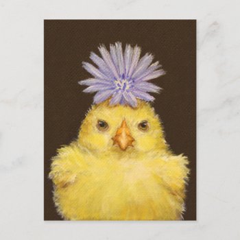 Grumpy Chicken (peep) Postcard by vickisawyer at Zazzle