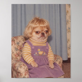 Grumpy Chihuahua's Retro Picture Day Portrait Poster