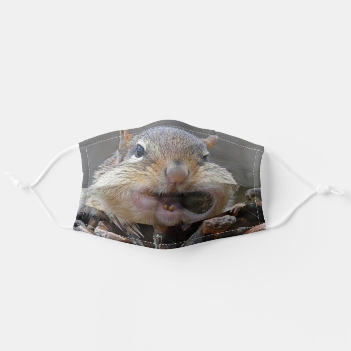 Grumpy Chipmunk Adult Cloth Face Mask Zazzle Com