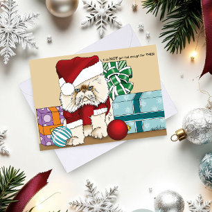 Grumpy Christmas Cat Santa Funny Holiday Card