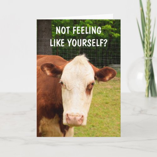 Grumpy Cow Cancer Support Card