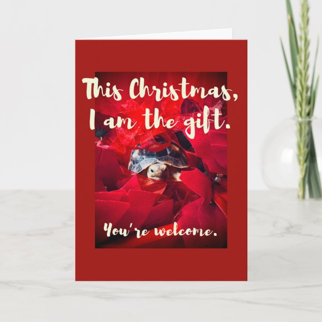 Grumpy Cute Baby Sulcata Tortoise Christmas Gift Card (Front)