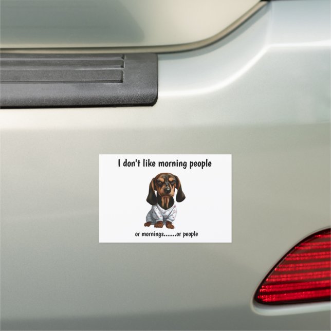 Grumpy Dachshund Car Magnet (In Situ)