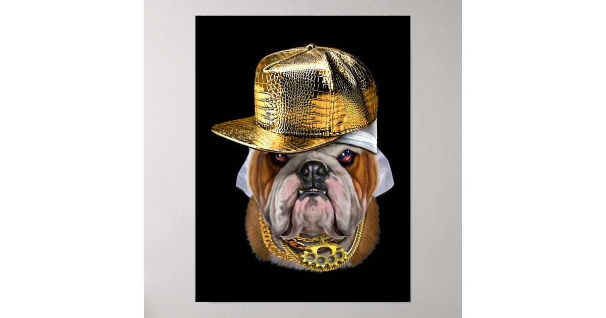 Grumpy English Bulldog wearing Hip Hop Rapper Poster | Zazzle