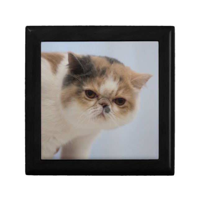 Grumpy Face Cat Gift Box (Front)