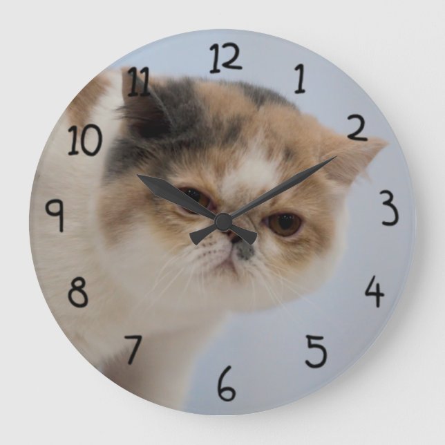 Grumpy Face Cat Large Clock (Front)