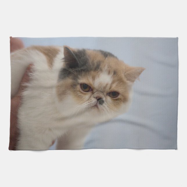 Grumpy Face Cat Towel (Horizontal)